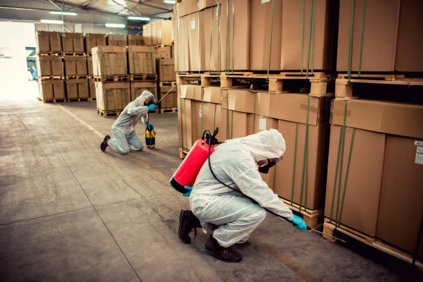 Best Best Pest Control Companies  in Carter, TX