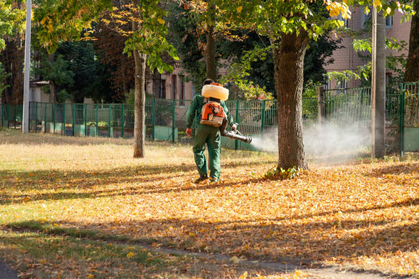 Insect Control in Carter, TX