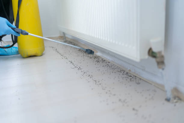 Best Residential Pest Control  in Carter, TX