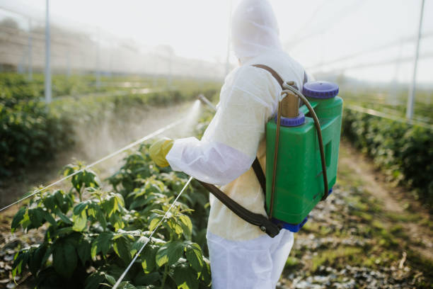 Best Flea Control Services  in Carter, TX
